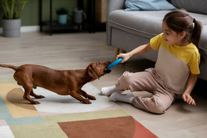 Fun Toys That Keep Pets Active